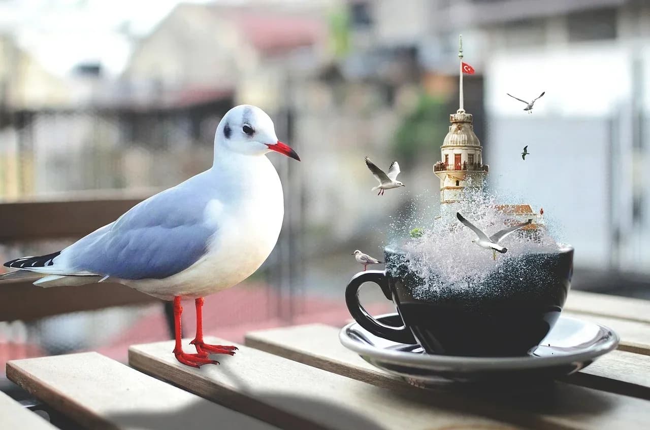 Miniature 2