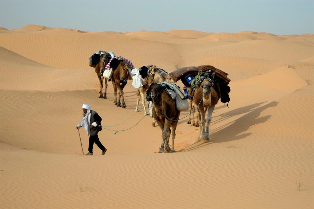 Le désert tunisien, une destination de dépaysement assuré